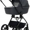 Детская коляска Rant Teo Soft 3 в 1 с автокреслом Carry Pro Black Graphite