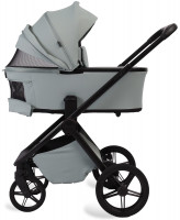 Детская коляска Peppy Monaco Plus 4 в 1 с автокреслом Welldon Crown 2 Grey и базой Mint (мятный), рама черная
