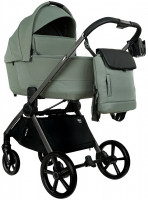 Детская коляска Pituso Teffy 2 в 1 Sage Green/Graphite