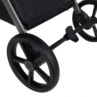 Детская коляска Pituso Teffy 2 в 1 Sage Green/Graphite