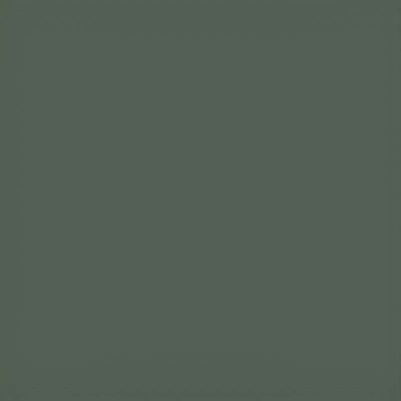 Прогулочная коляска Carrello Nova CRL-5524 2025 Aspen Green