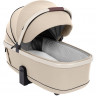 Коляска 2 в 1 Carrello Vector CRL-6550 Seashell Beige
