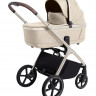 Коляска 2 в 1 Carrello Vector CRL-6550 Seashell Beige