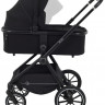 Детская коляска Rant Moss 2 в 1 Black