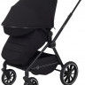 Детская коляска Rant Moss 2 в 1 Black