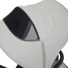 Детская коляска Rant Flex 3 в 1 RA076 с автокреслом Aster Zero Black Stone