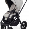 Детская коляска Rant Flex 3 в 1 RA076 с автокреслом Aster Zero Black Stone