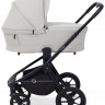Детская коляска Rant Flex 3 в 1 RA076 с автокреслом Aster Zero Black Stone