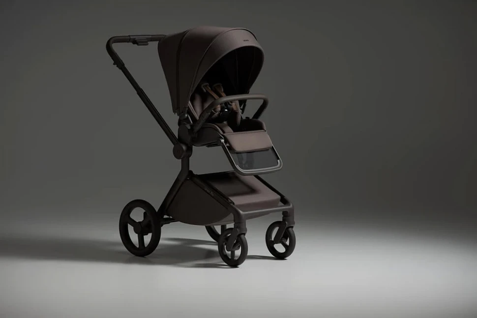 Детская коляска Anex Flo 2 в 1 Browny
