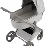 Детская коляска Anex Flo 2 в 1 Frossy