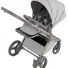 Детская коляска Anex Flo 2 в 1 Frossy