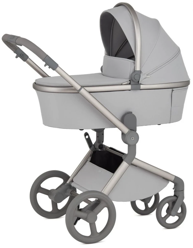 Детская коляска Anex Flo 2 в 1 Frossy