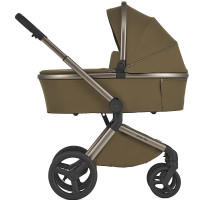 Детская коляска Anex Flo 2 в 1 Astra