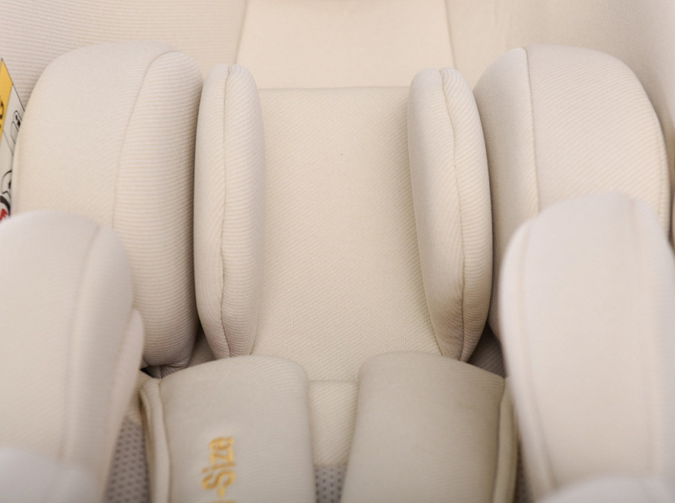 Детская коляска Peppy Monaco Plus 3 в 1 с автокреслом Verona Beige Black (черный), рама черная