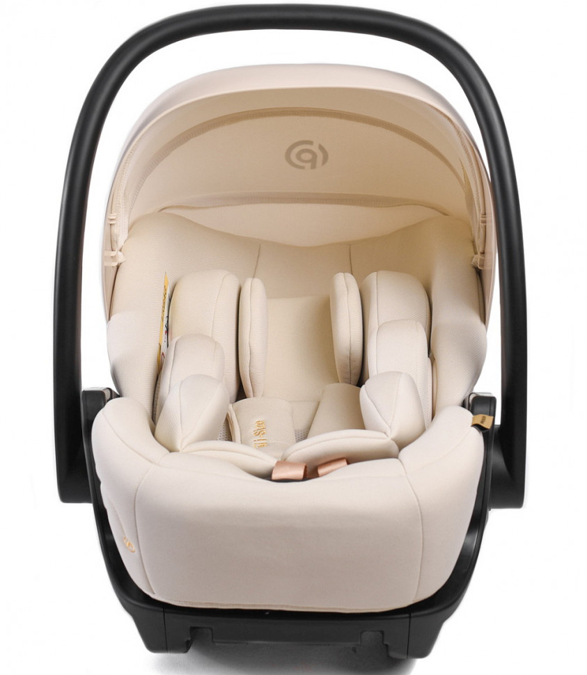Детская коляска Peppy Monaco Plus 3 в 1 с автокреслом Verona Beige Black (черный), рама черная