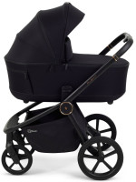 Детская коляска Rant Flex Therm Soft 4 в 1 с автокреслом Evomax Black и базой Gold Black