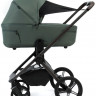 Детская коляска Peppy Monaco Thermo 4 в 1 с автокреслом Welldon Crown 2 Grey и базой Green (зеленый), рама серо-коричневая