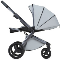 Детская коляска Anex l/type 2 в 1 с аксессуарами frost