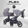 Детская коляска Rant Flex 2 в 1 RA076 Graphite