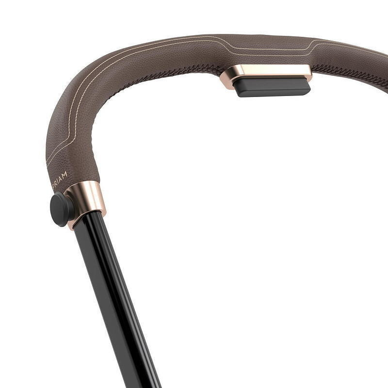 Коляска Cybex Priam IV Rosegold complete Cloud T Jeremy Scott Wings 3 в 1 Sepia Black