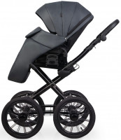 Детская коляска Riko Basic Montana X Ecco Prestige 2 в 1 24 Graphite (графит)