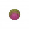 Набор тактильных мини-мячиков Oli&Carol Veggie Salad Baby Sensory Balls L-BABY-BALL-VEGGIES Овощной супчик
